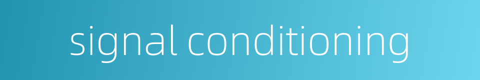 signal conditioning的同义词