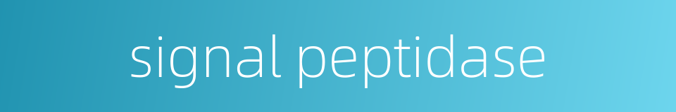 signal peptidase的同义词