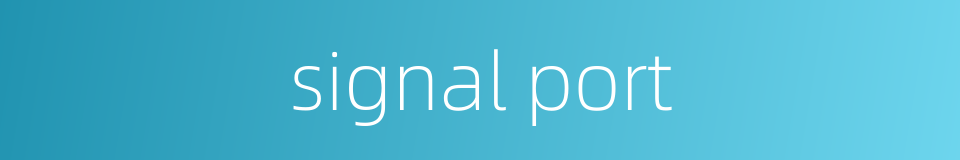 signal port的同义词