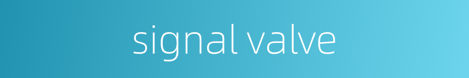 signal valve的同义词