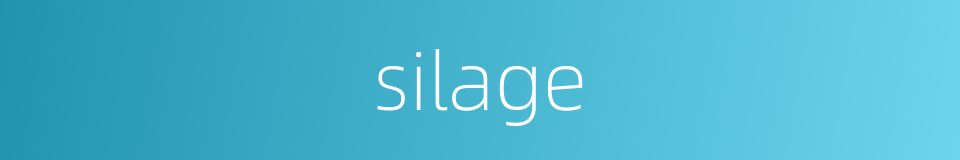 silage的意思