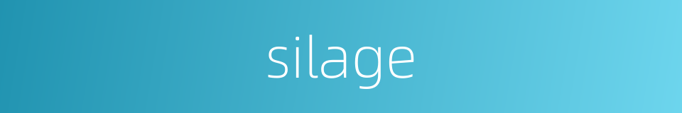 silage的同义词