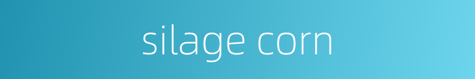 silage corn的同义词