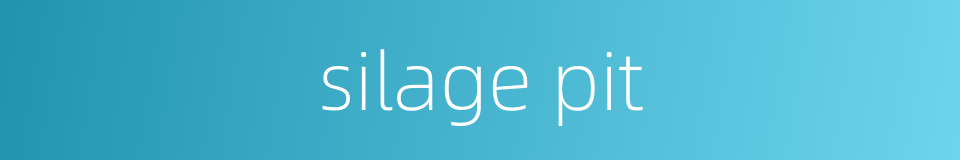 silage pit的同义词