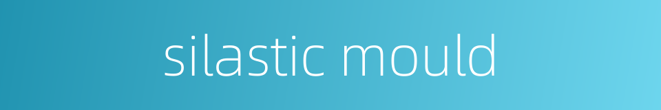 silastic mould的同义词