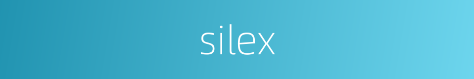 silex的同义词