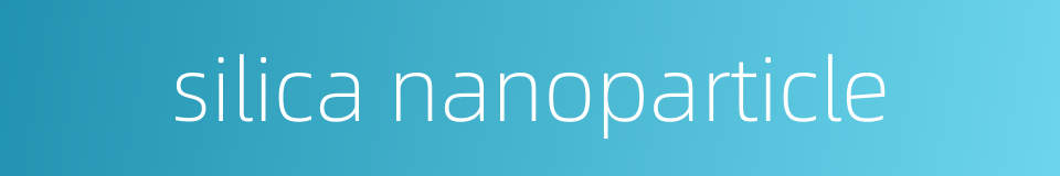 silica nanoparticle的同义词