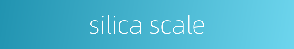silica scale的同义词