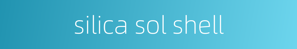silica sol shell的同义词