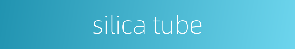 silica tube的同义词