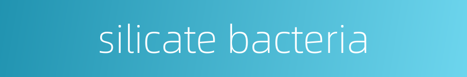 silicate bacteria的同义词