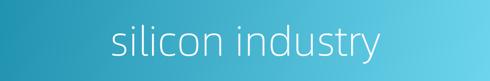 silicon industry的同义词