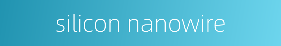 silicon nanowire的同义词