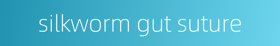 silkworm gut suture的同义词