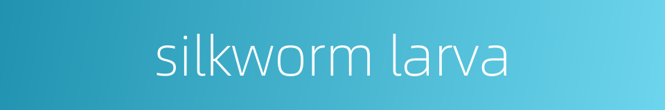 silkworm larva的同义词