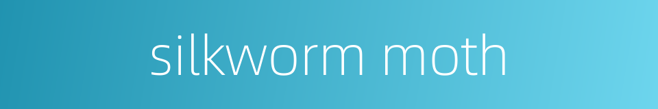 silkworm moth的同义词