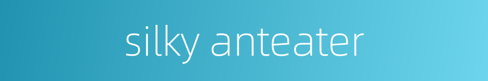 silky anteater的同义词
