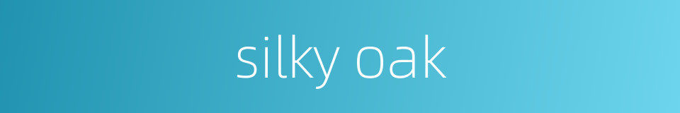 silky oak的同义词