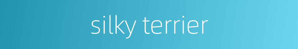 silky terrier的同义词