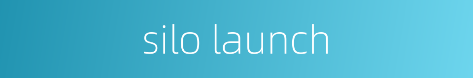 silo launch的同义词