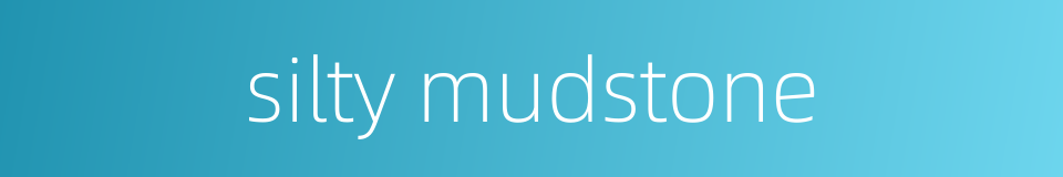 silty mudstone的同义词