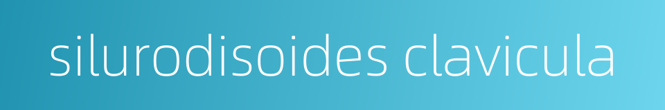 silurodisoides clavicula的同义词
