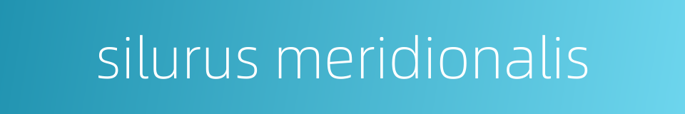 silurus meridionalis的同义词