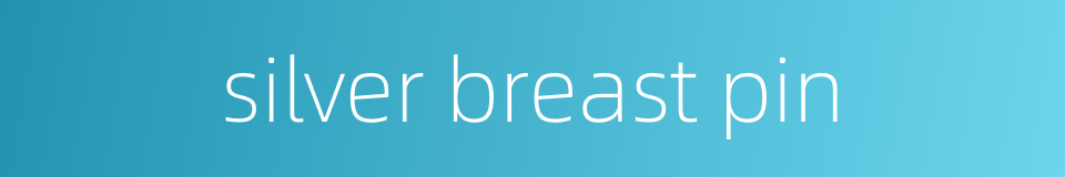 silver breast pin的同义词