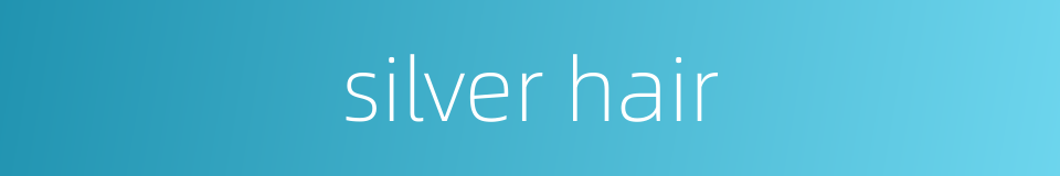 silver hair的同义词