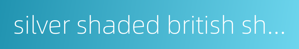 silver shaded british shorthair的同义词