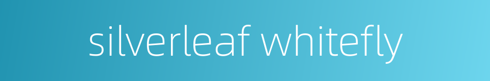 silverleaf whitefly的同义词