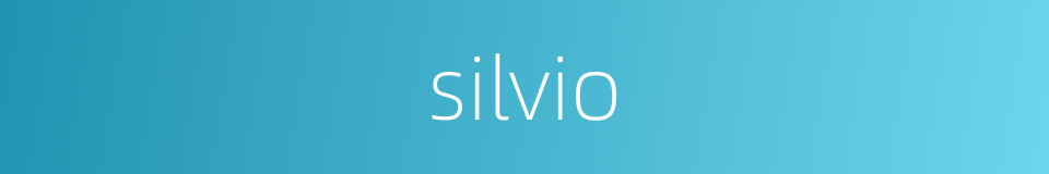 silvio的同义词