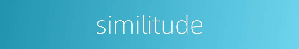 similitude的同义词