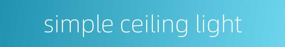 simple ceiling light的同义词