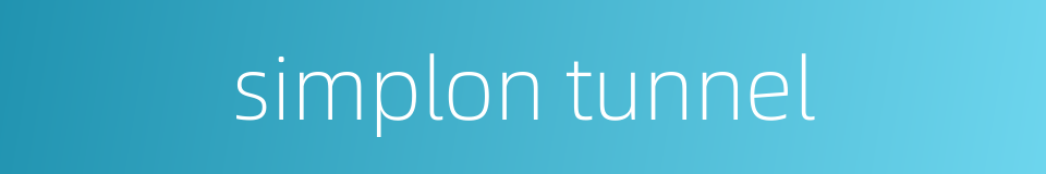 simplon tunnel的同义词