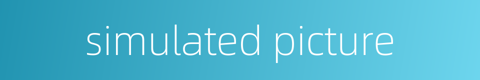 simulated picture的同义词