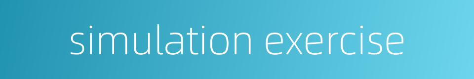 simulation exercise的同义词