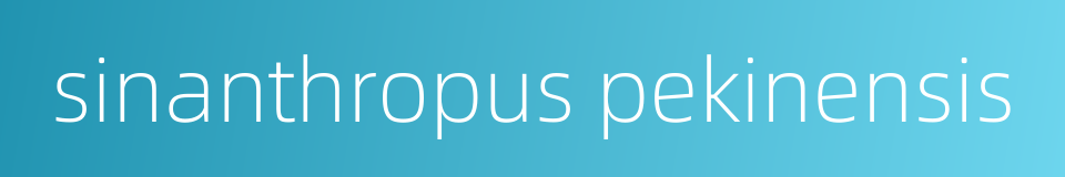 sinanthropus pekinensis的同义词