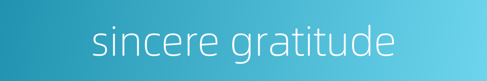 sincere gratitude的同义词