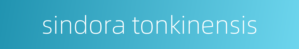sindora tonkinensis的同义词