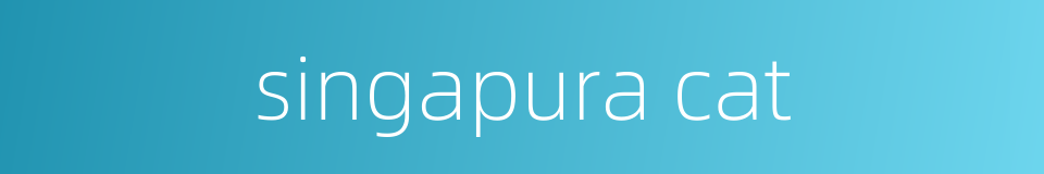singapura cat的同义词