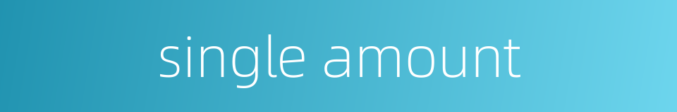 single amount的同义词