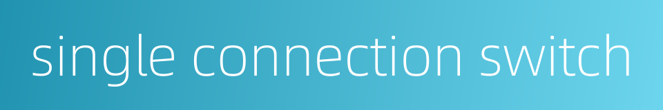 single connection switch的同义词