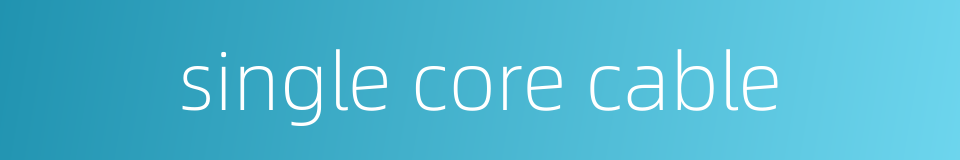 single core cable的同义词