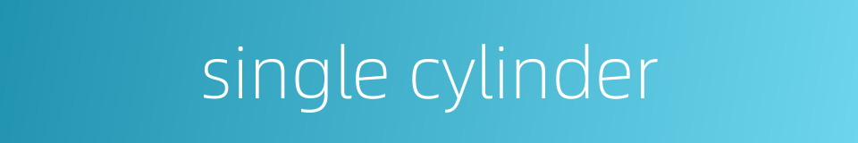 single cylinder的同义词