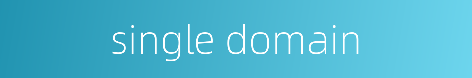single domain的同义词