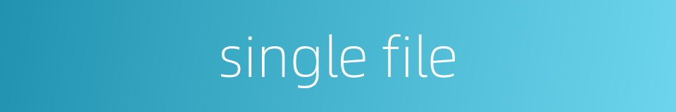 single file的同义词