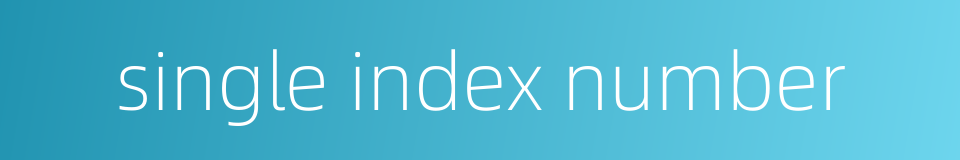 single index number的同义词