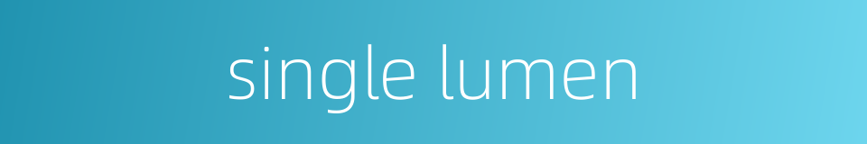 single lumen的同义词