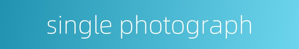 single photograph的同义词